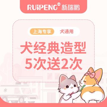 【阿闻上海】犬经典造型5送2-市区 >40kg